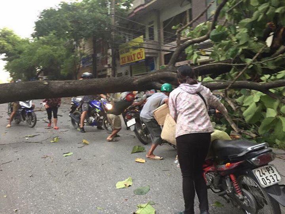 Gió lốc quật ngã nhiều cây xanh, làm tốc mái gần 800 nhà dân Lào Cai - 1
Gió lốc quật ngã nhiều cây xanh trên đường phố