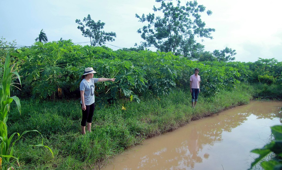 Hà Nội: Điều tra vụ cháu bé 10 tuổi tử vong ở rãnh nước - 1 Khu vực rãnh nước nơi phát hiện thi thể cháu bé 10 tuổi.