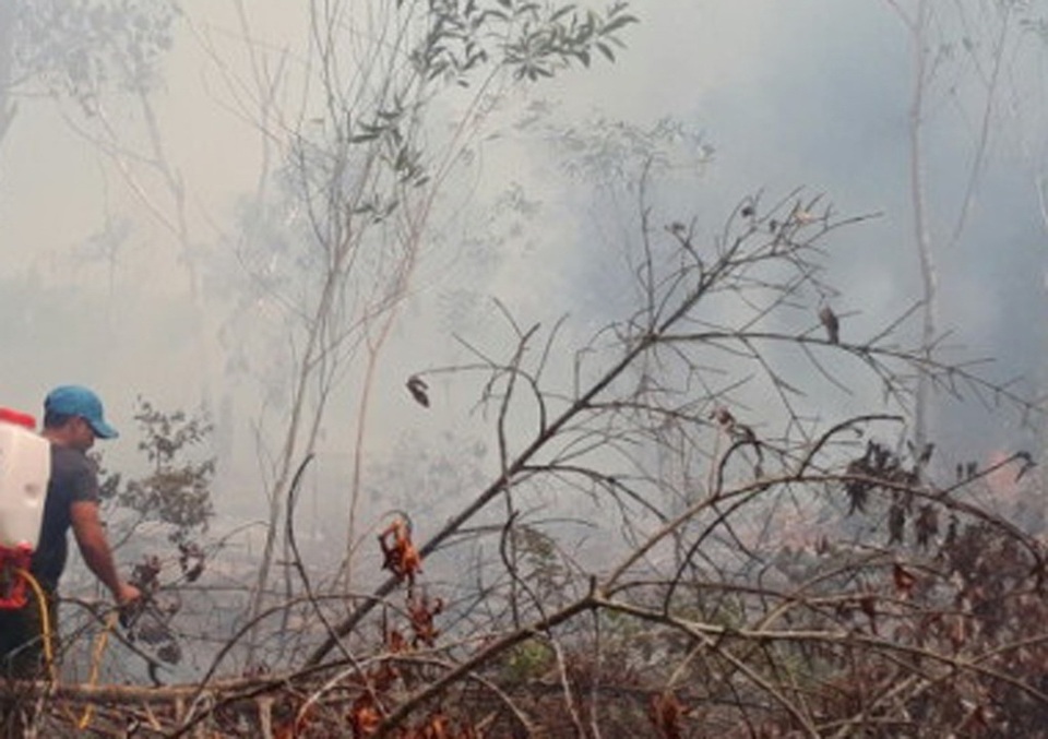 Do đám chảy cách xa lộ lớn, người dân và kiểm lâm phải vác từng can nước lên rừng dập lửa