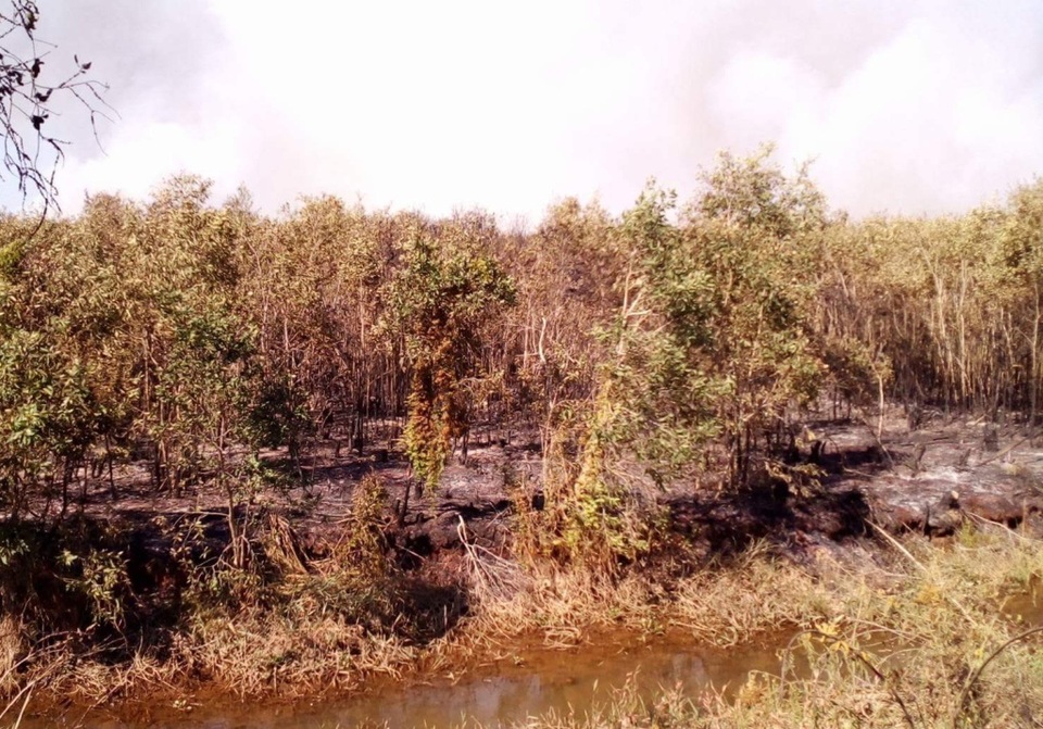 Nắng nóng thiêu cháy gần 30 ha rừng tràm - 1 Sau khi khống chế được đám cháy, trời cũng đã tối nên lực lượng chức năng tạm rút ra bên ngoài rừng , chờ đến sáng mai tiếp tục khảo sát lại đám cháy