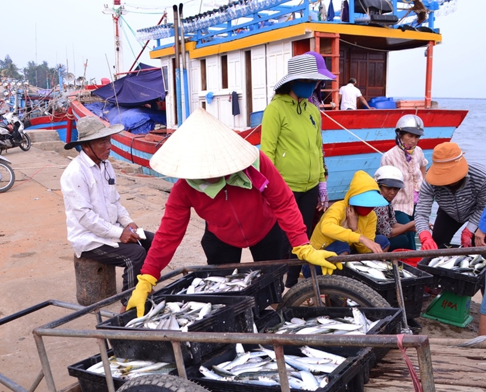 Tiếp tục cấp hơn 61 tỷ đồng chi trả bồi thường thiệt hại vụ Formosa - 2 Các cảng cá hoạt động tấp nập trở lại
