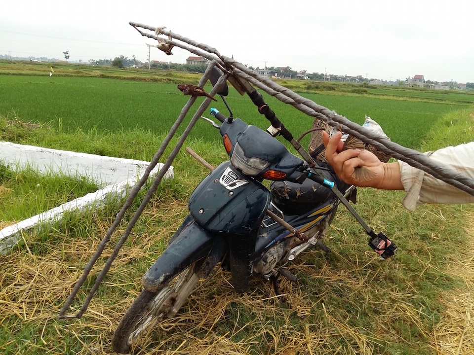 Theo chân thợ săn tận diệt chim sẻ - 1 Vừa đáp xuống thanh nhôm, những con chim xấu số ngay lập tức dính nhựa và bị lộn ngược.