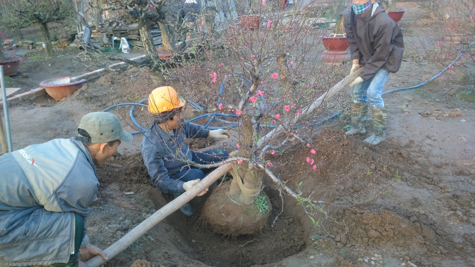 Nhiều thợ chở đào thuê làm việc thông trưa, sang chiều, lấy thời gian làm tiền bạc bởi nhanh mỗi tiếng thôi họ sẽ có lợi hàng trăm nghìn.