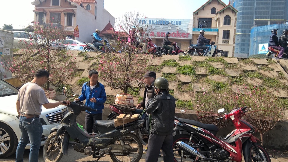 Theo anh Minh (áo xanh thứ hai từ trái sang), cả ngày làm việc của anh tính từ 6h sáng, nhiệm vụ bắt đầu là đánh hốc các cây đào từ các chủ vườn, vận chuyển theo địa chỉ.