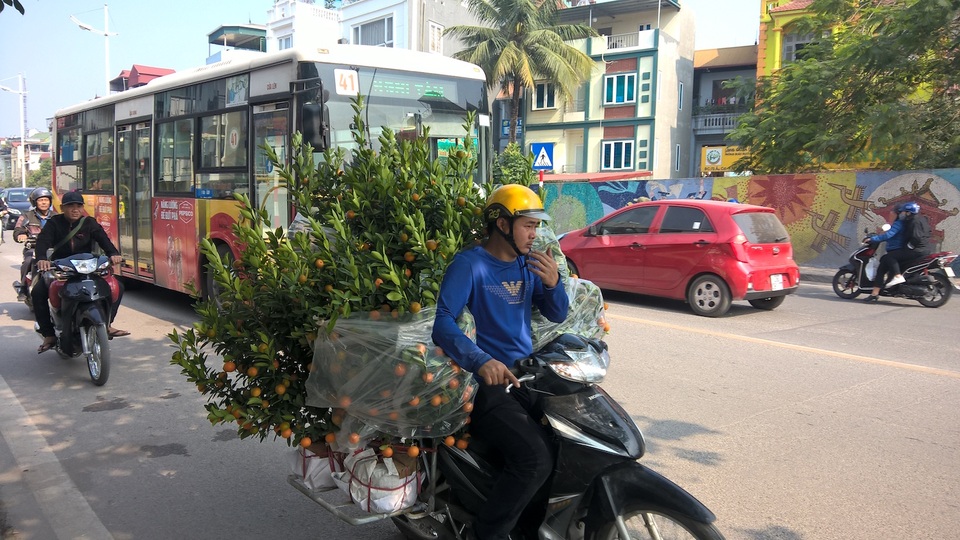 Thợ chở đào quất đòi hỏi phải khoẻ, thông thuộc đường sá, địa chỉ và có nghề chằng chống đồ... Công việc tưởng như đơn giản nhưng không phải ai cũng làm được.