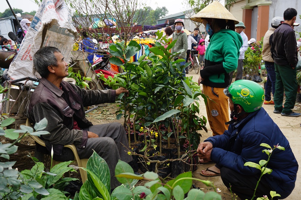 Dịp Tết đến Xuân sang, nhiều người dân chọn mua các loại cây ăn quả về trồng, cầu mong cho một năm mới khởi đầu với nhiều may mắn trong trồng trọt, chăn nuôi.