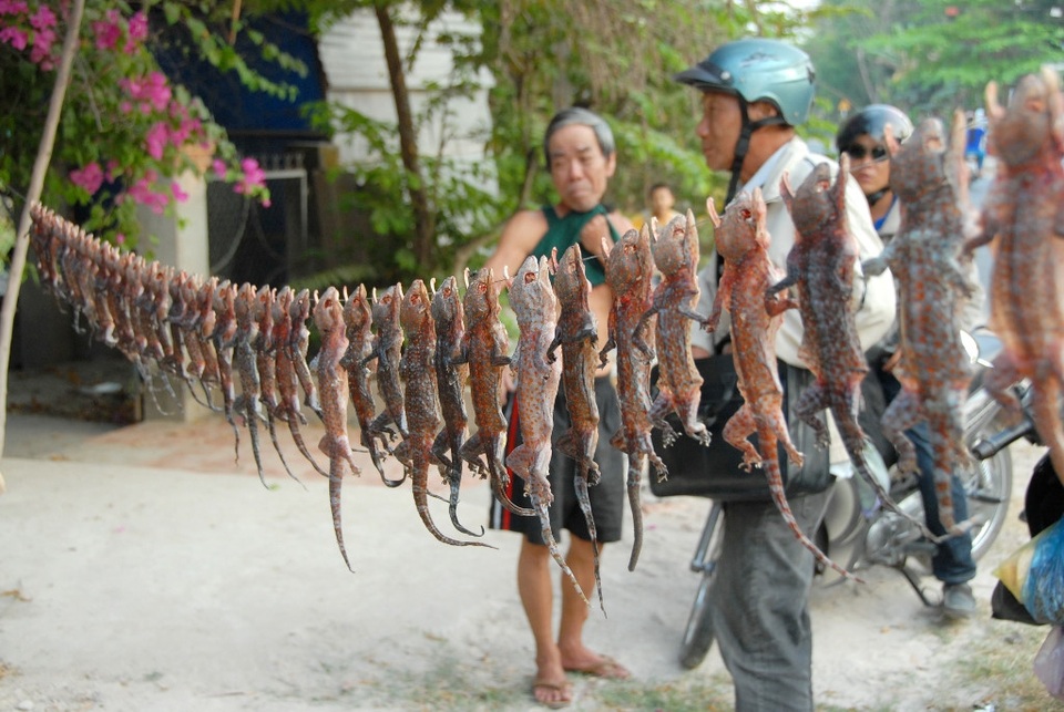 Những khu chợ kỳ dị, độc đáo chỉ có ở Việt Nam - 1 Từ khá lâu, Tịnh Biên - An Giang đã trở thành một trung tâm thương mại, dịch vụ, đầu mối giao thông quan trọng của vùng biên giới tây nam với nhiều mặt hàng đặc biệt. Những người ở xung quanh khu vực thường gọi chợ này là chợ Côn trùng vì ở đây chuyên bán “hàng độc” như mối chúa, rết, bò cạp, ve sữa, tắc kè, bửa củi…