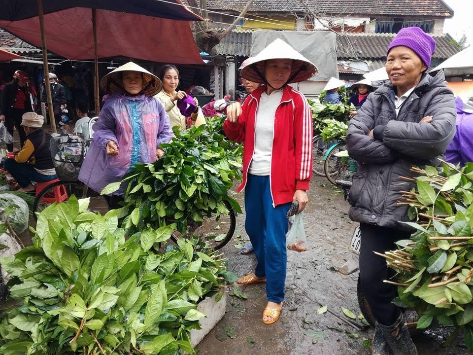 Rộn ràng chợ quê ngày Tết - 10 Và một trong những thứ được mệnh danh đặc sản của của xứ Nghệ là chè xanh. Chè xanh ở vùng đất Thanh Chương được xem là nơi cung cấp nhiều chè nhất.