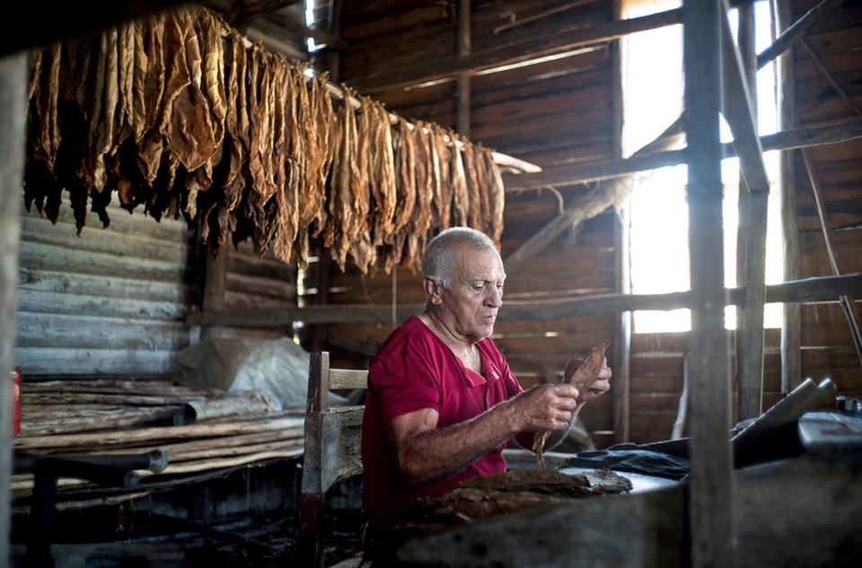 Những chuyện khó tin về thú chơi mới nổi: Hút cigar - 7 
Cigar quấn tay của một nghệ nhân ở Cuba