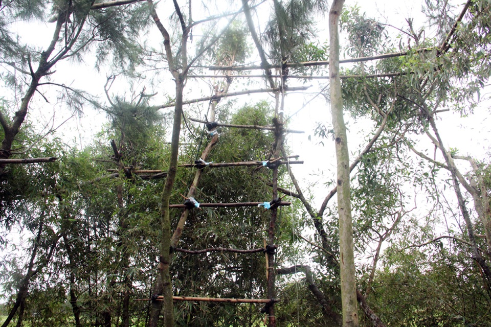 Những chiếc thang được dựng lên để tiện leo trèo.