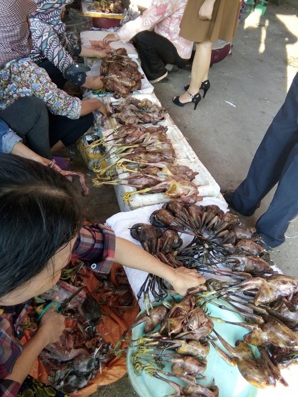 
Trở thành món nhậu được ưa chuộng.
