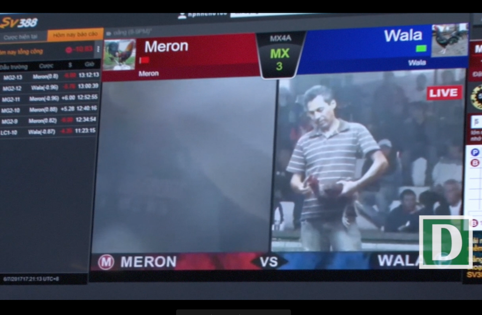 Gần 100 cảnh sát “đột kích” tổ hợp cờ bạc ẩn mình sau căn biệt thự - 3 Màn hình chiếu trực tiếp cảnh đá gà từ nước ngoài về để các con bạc tham gia cá cược