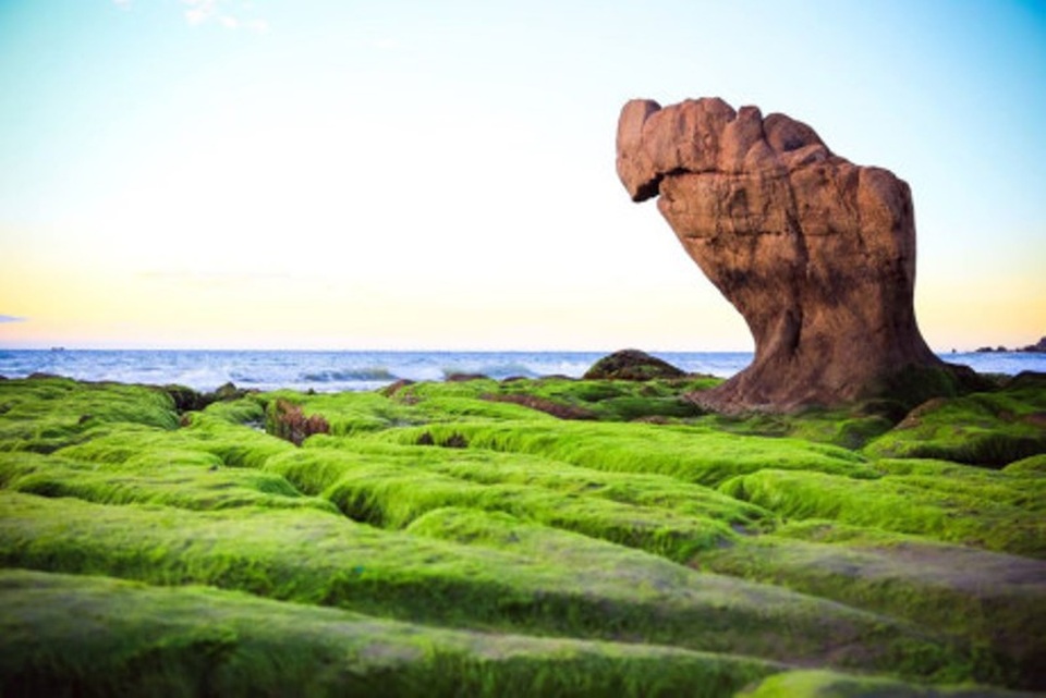 Tới Cổ Thạch, đắm chìm trong mùa rêu xanh và bãi đá kỳ ảo - 1 Biển Cổ Thạch vào mùa rêu đẹp như thiên đường. Nơi đây, dù đã đưa vào khai thác từ lâu nhưng vẫn giữ được nét hoang sơ vốn có.