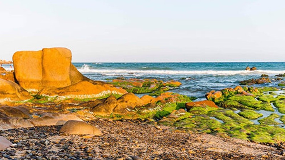 Tới Cổ Thạch, đắm chìm trong mùa rêu xanh và bãi đá kỳ ảo - 3 Màu sắc Cổ Thạch hài hòa giữa màu rêu và màu của bãi đá.