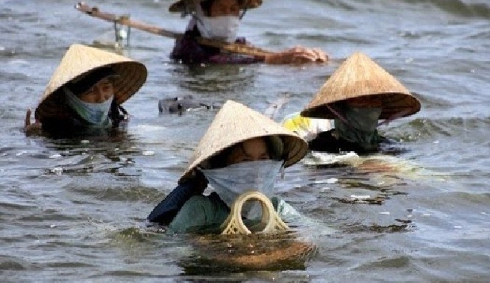 Công bố 6 tour du lịch đầm phá riêng chỉ có ở vùng đầm phá Quảng Điền - 8 ... hoặc đạp Trìa