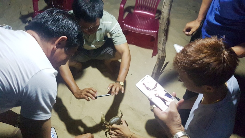 Phát hiện con còng “khổng lồ” bên bãi biển - 5 Nhiều người thích thú xúm lại chụp ảnh con còng