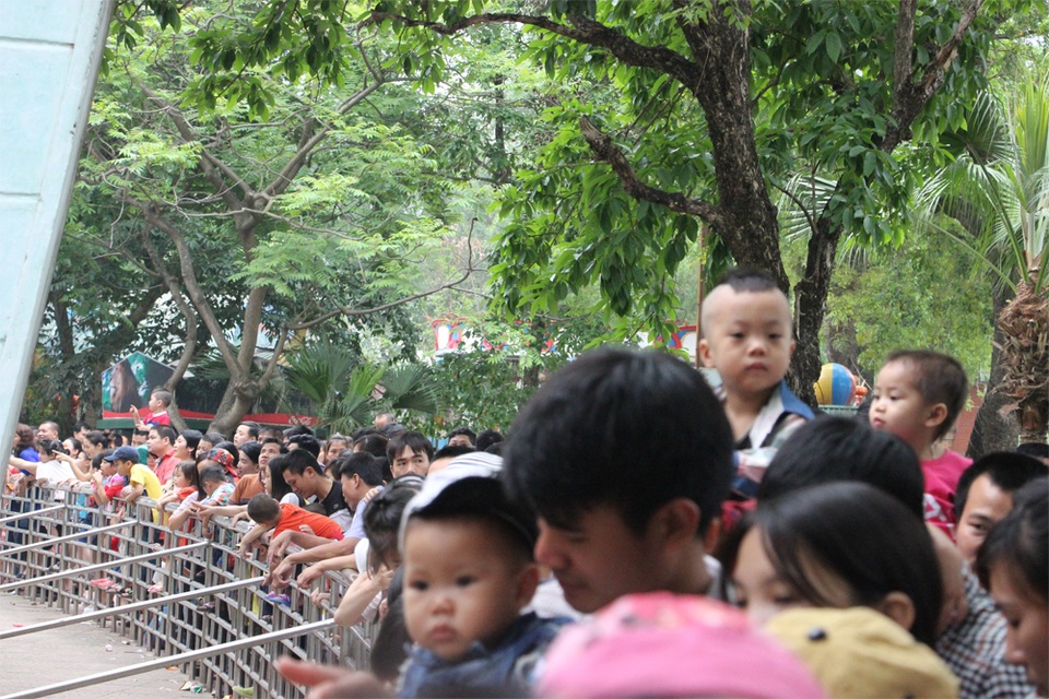 Hà Nội: "Biển người" đổ về công viên Thủ Lệ vui chơi ngày 30/4 - 7 
Xung quanh các chuồng nuôi nhốt thú luôn trong tình trạng quá tải.