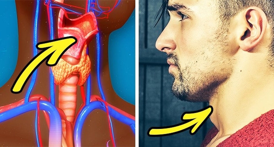 Giải mã những hiện tượng kỳ lạ xảy ra với cơ thể đàn ông - 5 Giải mã những hiện tượng kỳ lạ xảy ra với cơ thể đàn ông - 5