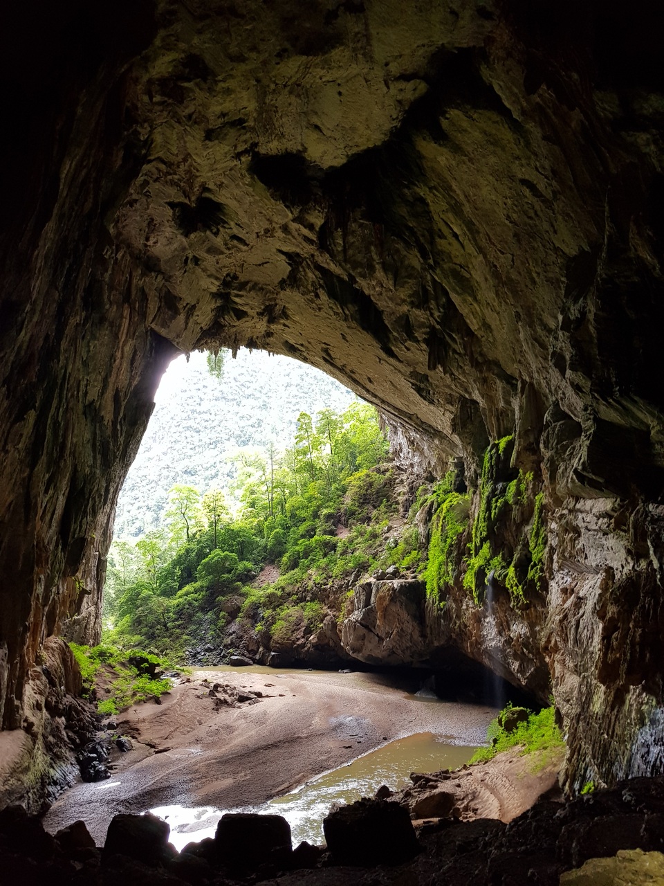 Hành trình chinh phục Sơn Đoòng kỳ vĩ (Phần 2) - 5
Cửa ra hang Én