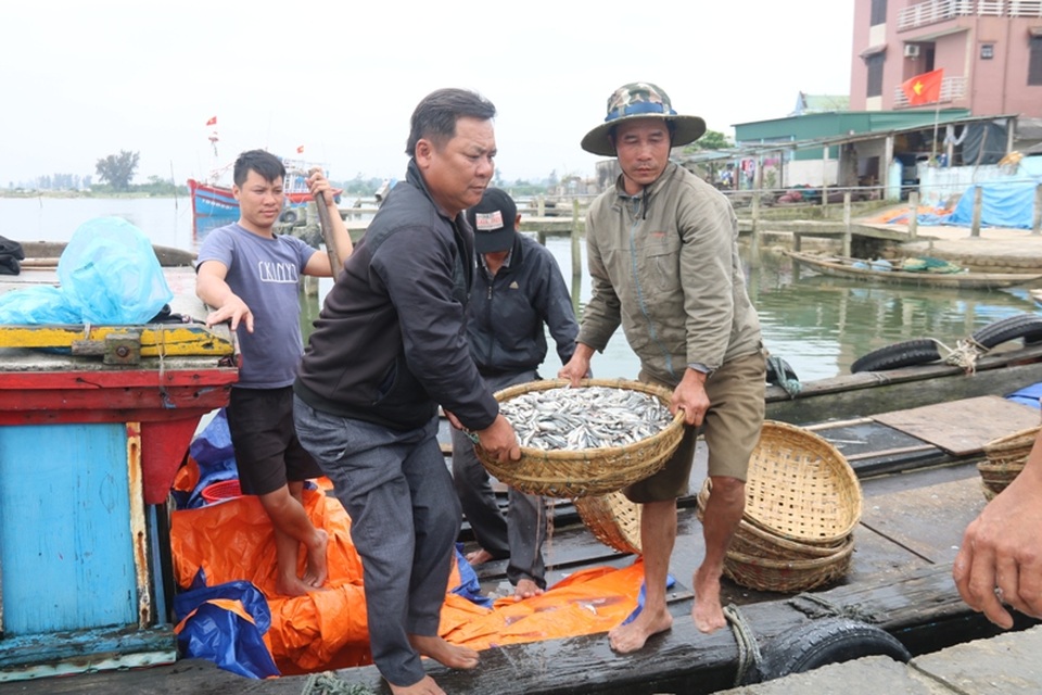 Những người lính Gạc Ma ngày ấy, bây giờ - 3 Hai cựu binh Trần Quang Dũng và Trần Xuân Bình trở về sau chuyến biển