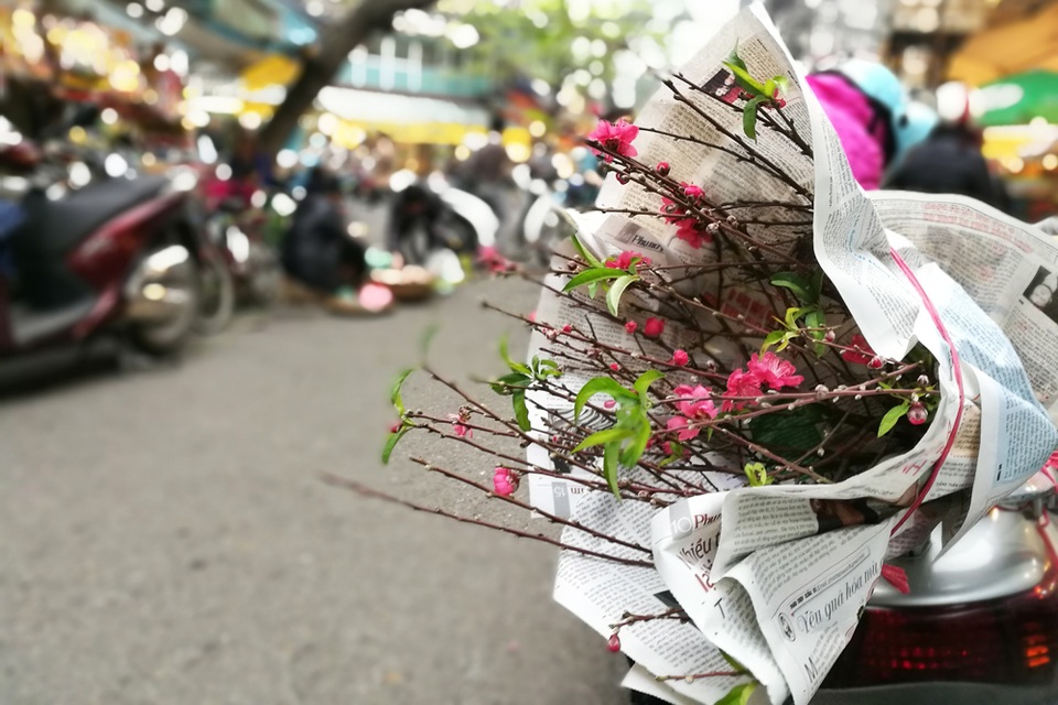 Hà Nội: Sắm Tết nhanh ở "chợ nhà giàu" - 10
Cành đào nhỏ trên xe máy một vị khách đi chợ Hàng Bè.