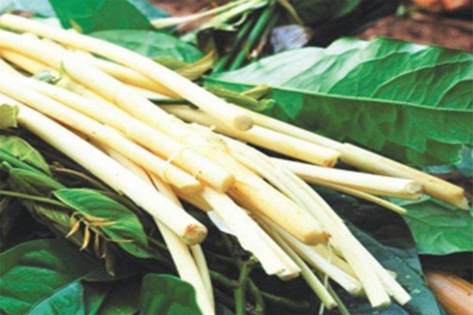 Những món ngon “độc quyền” của Buôn Ma Thuột - 4 Đọt mây, món ăn độc đáo của Tây Nguyên bạt ngàn nắng gió.