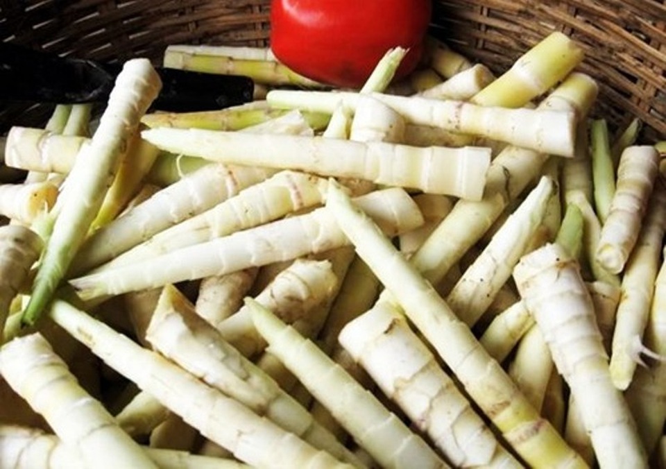 Những món ngon “độc quyền” của Buôn Ma Thuột - 5 Măng le là một món ăn chân chất, mang đậm hương vị núi rừng Tây Nguyên.