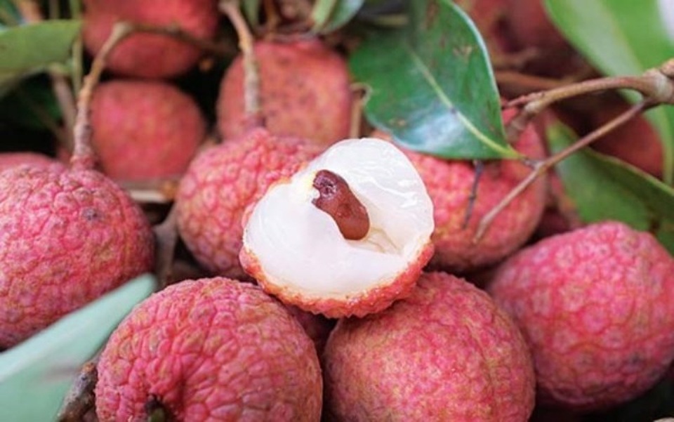 Những món đặc sản Hải Dương nhắc đến là thèm - 3 Vải thiều Thanh Hà được mệnh danh là “bà hoàng” của các loại vải.