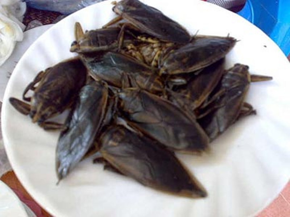 Du xuân Ninh Bình, thưởng thức đặc sản đất kinh đô Hoa Lư - 3 Cà niễng tuy không hấp dẫn thị giác nhưng có hương vị khá đặc biệt.