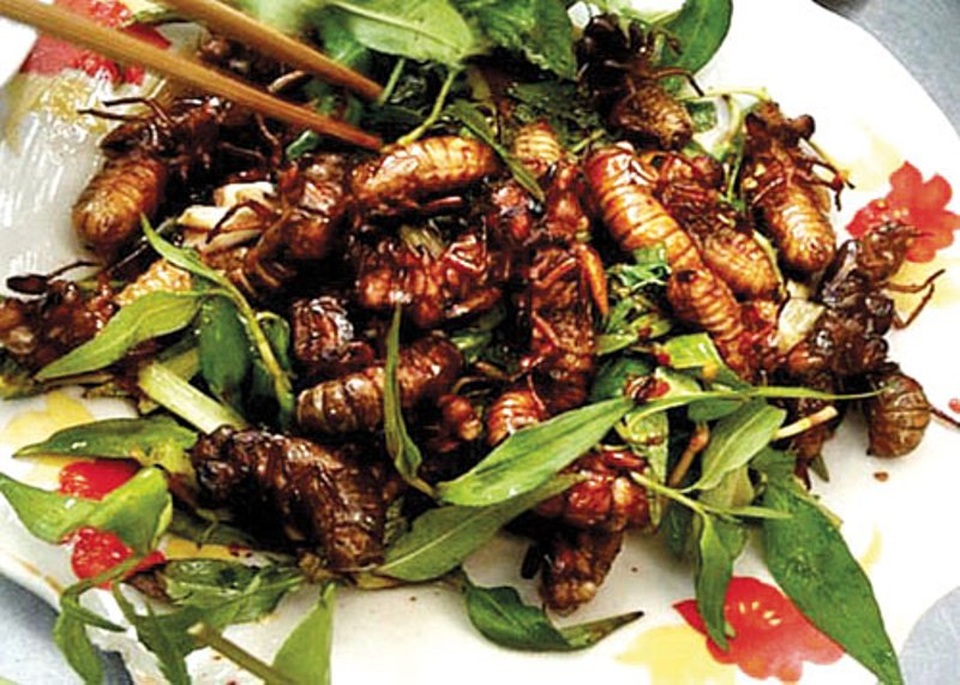 Những món ăn Việt ngon miệng nhưng tiềm ẩn nguy hiểm - 1 Tùy theo từng mùa mà có các loại côn trùng để chế biến thành những món khác nhau.
