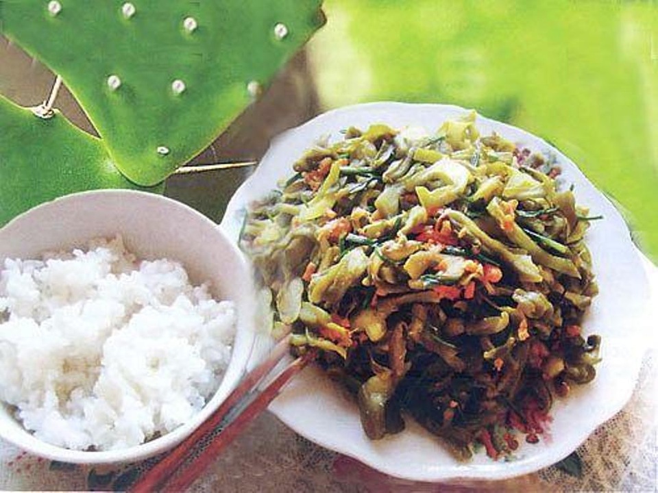 Đặc sản khó cưỡng từ xương rồng - 3 Vào những ngày nắng nóng, gỏi xương rồng lại chính là món giải nhiệt hiệu quả.