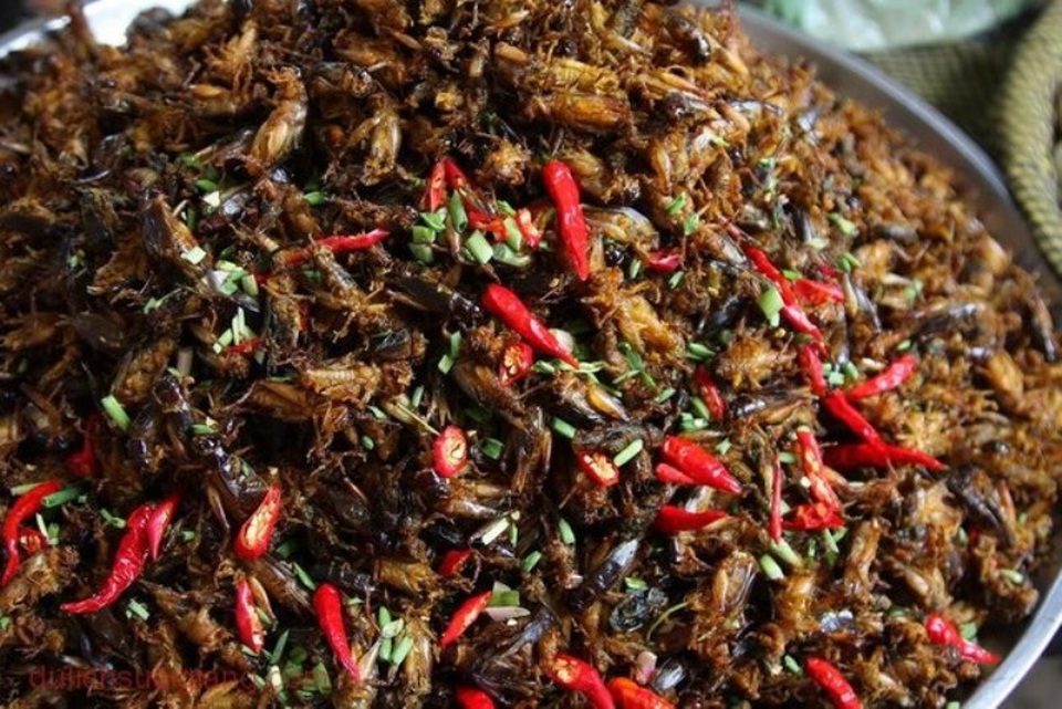 Món ngon mê hoặc lòng người ở Yên Bái - 7 Muồm muỗm cũng rất được ưa chuộng ở Yên Bái.