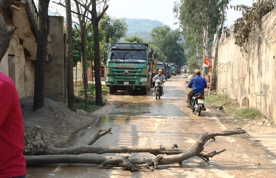 Bức xúc vì ô nhiễm, dân lấy thân cây chặn xe chở đất - 1 Người dân mang cây ra chặn xe tải do bức xúc vì ô nhiễm