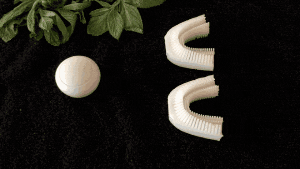 Đánh răng chỉ mất 10 giây với chiếc bàn chải đánh răng tự động 100% - 4 Đánh răng chỉ mất 10 giây với chiếc bàn chải đánh răng tự động 100% - 4