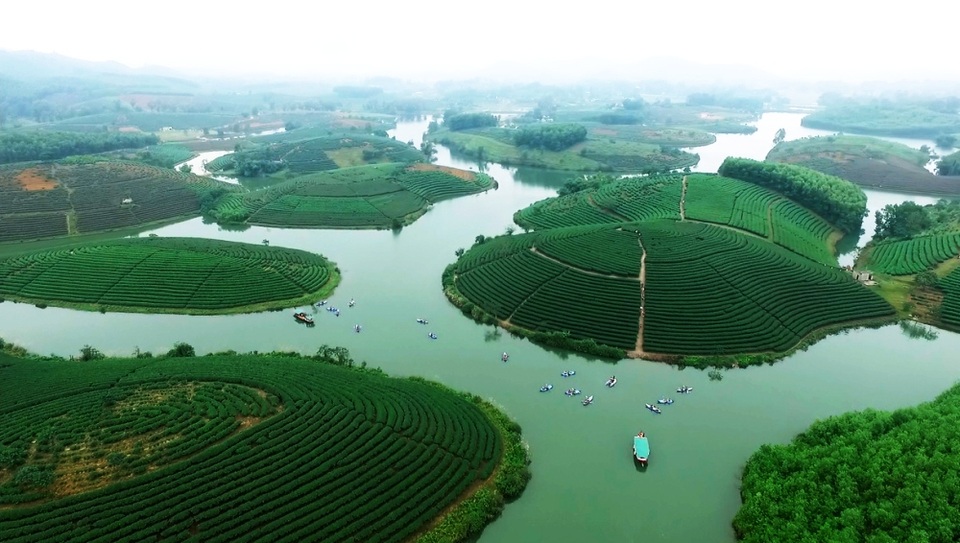 Đi trốn nóng ở ốc đảo chè đẹp mê hồn xứ Nghệ - 1 Đi trốn nóng ở ốc đảo chè đẹp mê hồn xứ Nghệ - 1