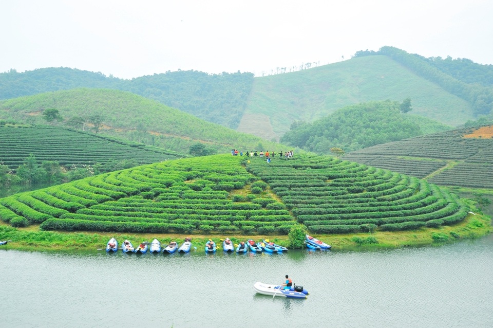 Đi trốn nóng ở ốc đảo chè đẹp mê hồn xứ Nghệ - 2 Đi trốn nóng ở ốc đảo chè đẹp mê hồn xứ Nghệ - 2