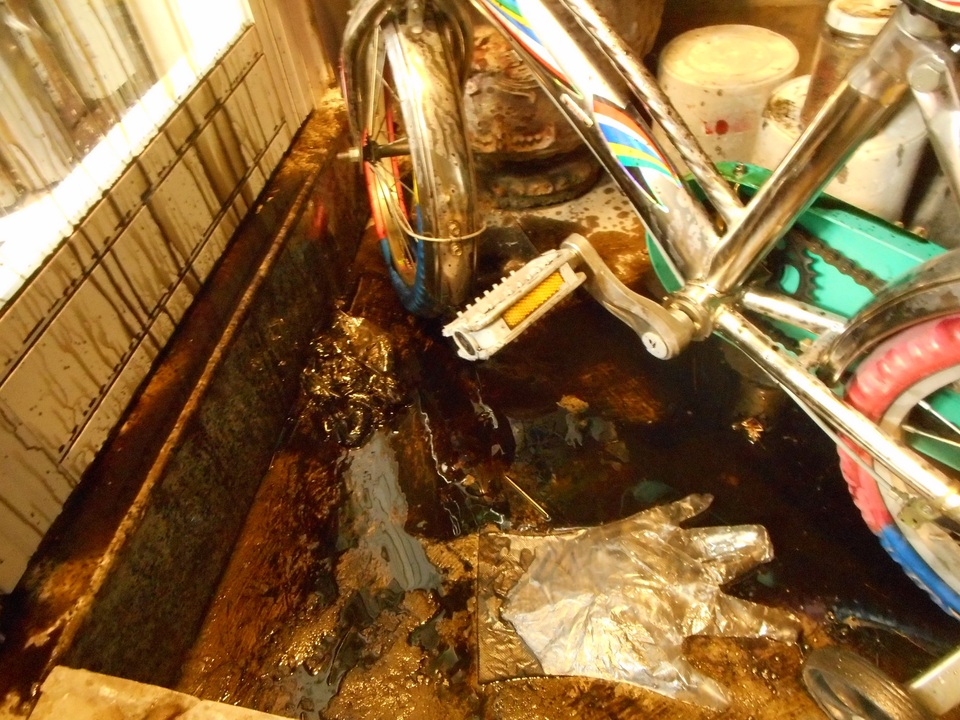 Một nhà báo ở Đà Nẵng bị “khủng bố” bằng... rắn - 1
Nhà của nhà báo Hải Châu bị ném dầu luyn khủng bố