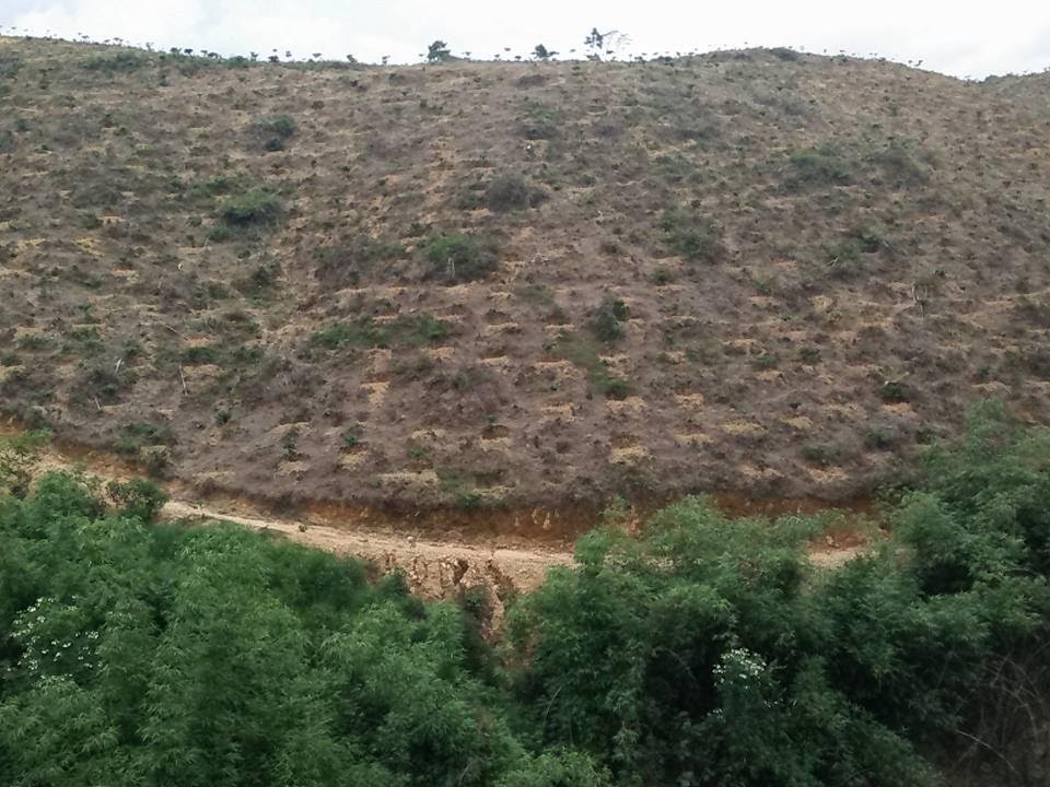 
Đất dốc, bạc màu và sỏi đá nên nhiều người để mặc không canh tác
