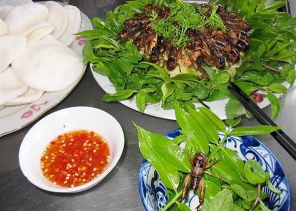 Muốn thưởng thức dế mèn, phải về Mường Lò - 3 Dế mèn là món ăn độc đáo từ hình dáng bên ngoài cho đến hương vị.