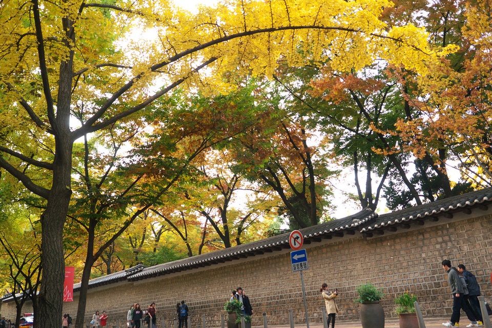 Con đường lãng mạn nhất Hàn Quốc với lời đồn chia tay