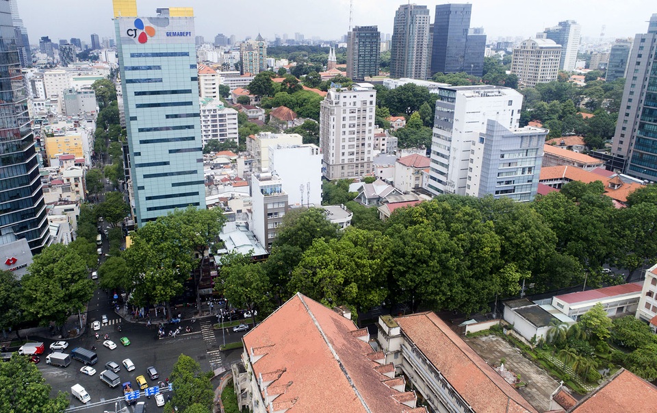 Ngắm hàng cây cổ thụ trăm tuổi sắp bị đốn hạ ở Sài Gòn - 12 Hình ảnh hàng cây trên đường Tôn Đức Thắng nhìn từ trên cao.
