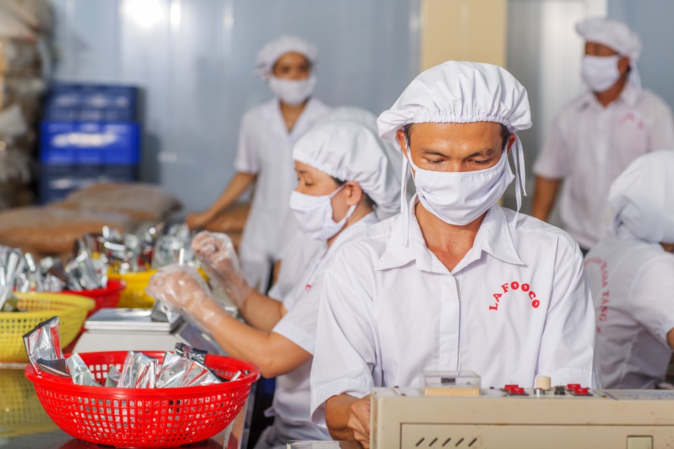 Giải pháp nào để ngành điều “bứt phá”? - 1
Ngành điều luôn là một trong số những ngành hàng xuất khẩu chủ lực của Việt Nam