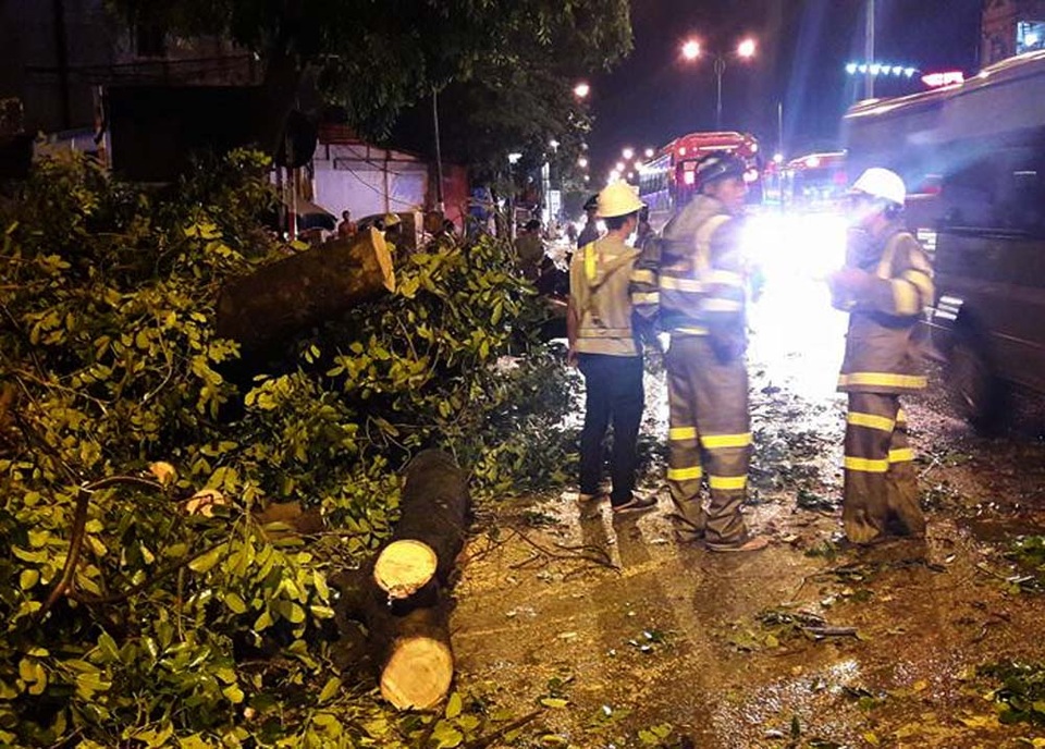 Hà Nội: Cây xà cừ đổ ngang đường, giao thông ùn tắc kéo dài - 2
Lực lượng công nhân công viên cây xanh thu dọn hiện trường.