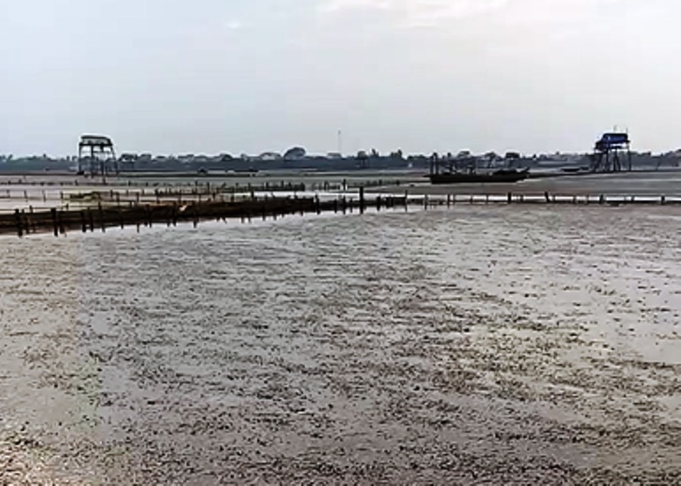 Vụ đổ chất thải xuống biển: Dân bức xúc vì ngao chết bất thường - 2
Tình trạng ngao chết trắng đầm khiến nhiều hộ gia đình nuôi ngao thiệt hại