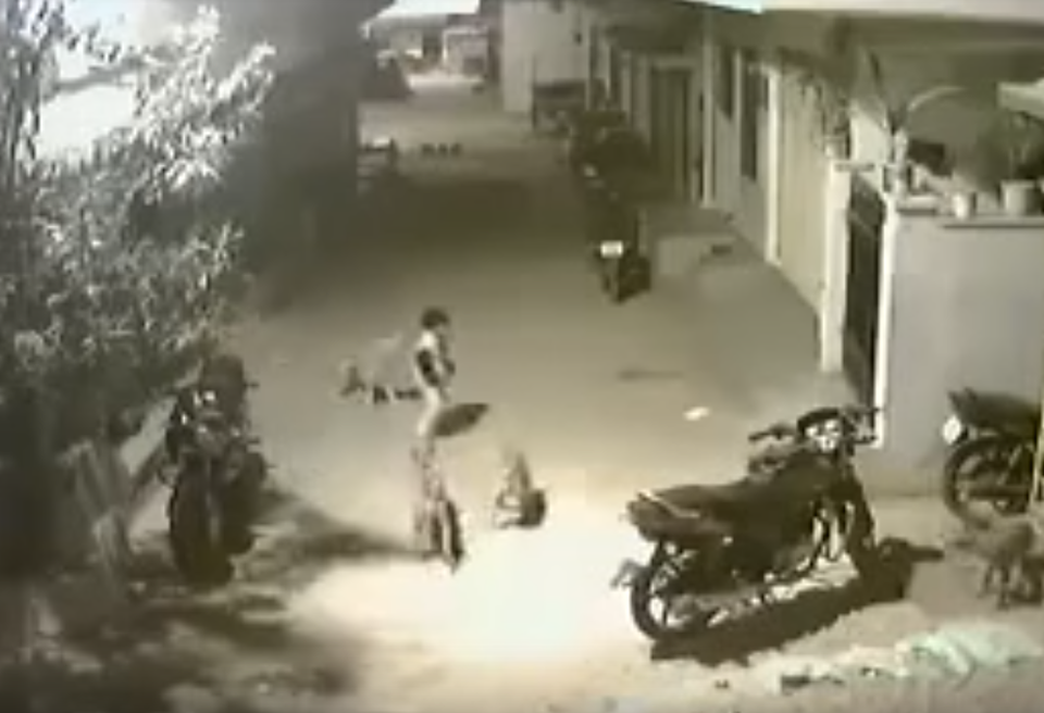 Cậu bé mới chỉ 5 tuổi bị bầy chó dữ bao vây. (Ảnh cắt từ clip)