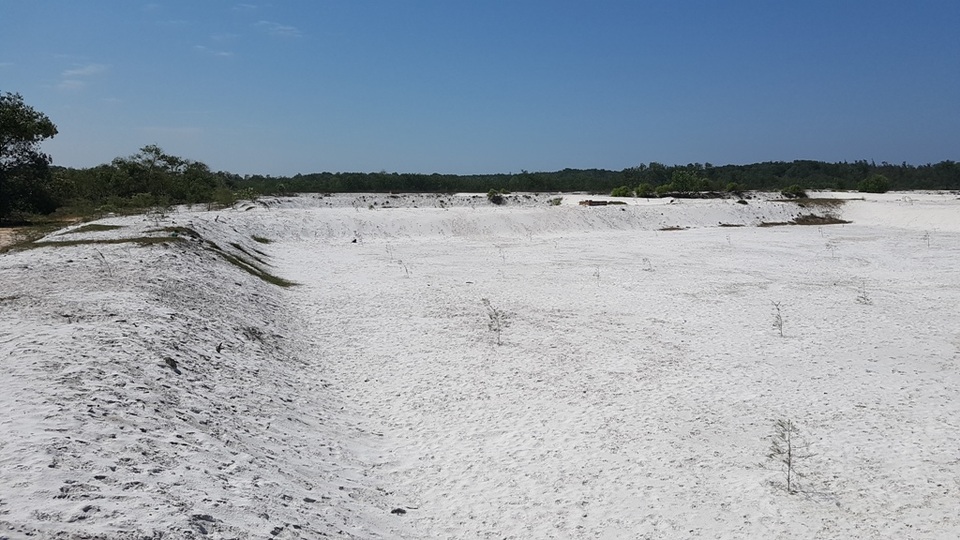 Xử lý dứt điểm việc phá rừng phòng hộ để nuôi tôm trên cát - 9
Hàng chục hồ nuôi tôm đã bị người dân, báo chí ngăn chặn kịp thời. Tuy nhiên gần 2 năm qua việc trồng lại rừng phòng hộ vẫn án binh bất động