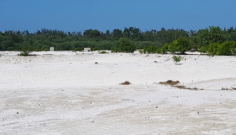 Xử lý dứt điểm việc phá rừng phòng hộ để nuôi tôm trên cát - 2
Nhiều hồ nuôi tôm đã được đào trái phép sau khi chặt diện tích lớn rừng phòng hộ ven biển nhưng chính quyền xã Vinh Mỹ, huyện Phú Lộc không có động thái ngăn chặn, chỉ khi báo chí vào cuộc thì mọi việc mới bị dừng lại