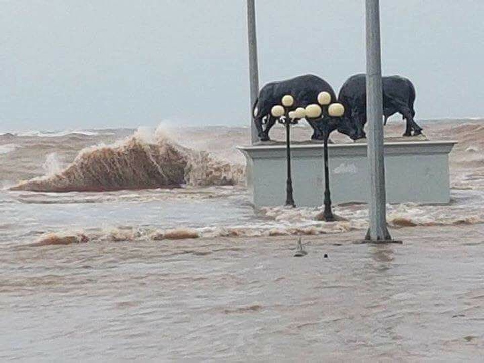 Cộng đồng mạng chia sẻ loạt ảnh hậu quả "xé lòng" của cơn bão số 10 - 10 Cảnh ghi nhận tại Đồ Sơn.