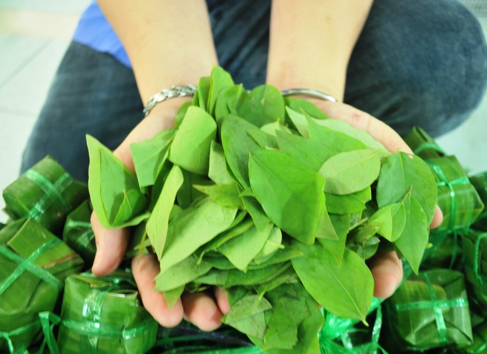 Lá vông trở nên thiếu hiếm khiến nhiều hộ gia đình buộc phải thay bằng lá tầm ruột. Ảnh: Nguyễn Hành