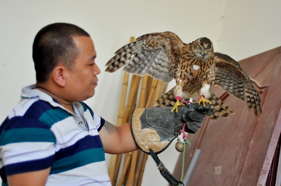 Bộ sưu tập chim săn giá 300 triệu của dân chơi Hà Nội - 9 Để có thể nuôi và thực hiện huấn luyện cho một con chim săn mồi, người chơi cần trang bị rất nhiều dụng cụ như: găng tay da 3 lớp, bộ buộc dây, bộ chụp móng vuốt, mũ chụp, thiết bị định vị GPS… Giá mỗi món cũng dao động trong khoảng vài trăm đến vài triệu đồng.